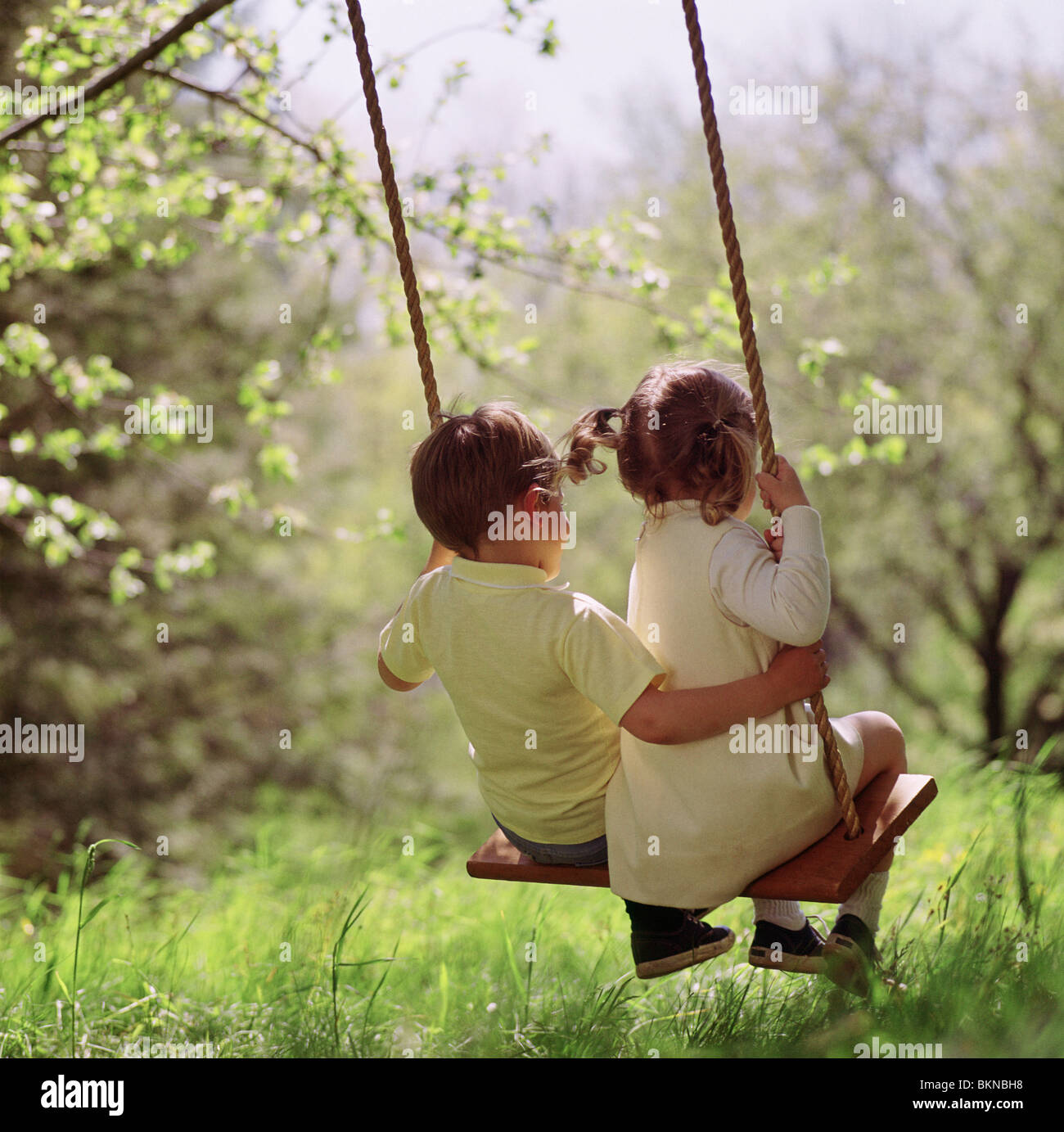 Young Boy And Sister Swinging On A Tree Swing For Two Stock