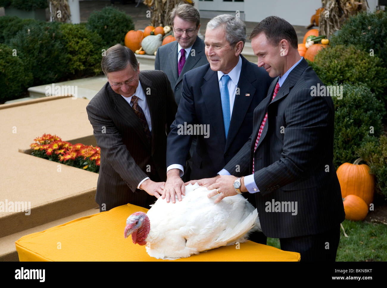 President George W Bush performs the 2008 National Turkey Pardon. Stock Photo