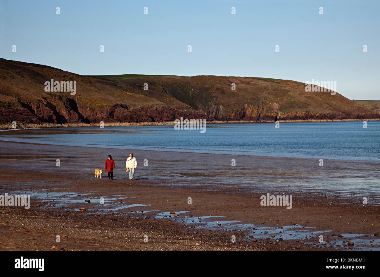 Two women walking dog on beach Freshwater East Pembrokeshire Wales UK Stock Photo
