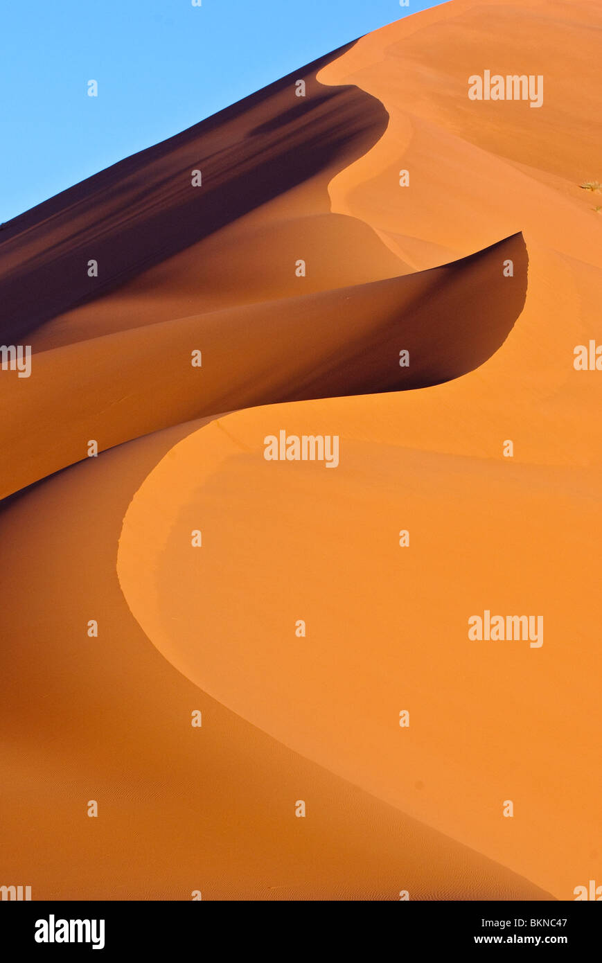 Sand dunes in the Sahara Desert, Morroco Stock Photo