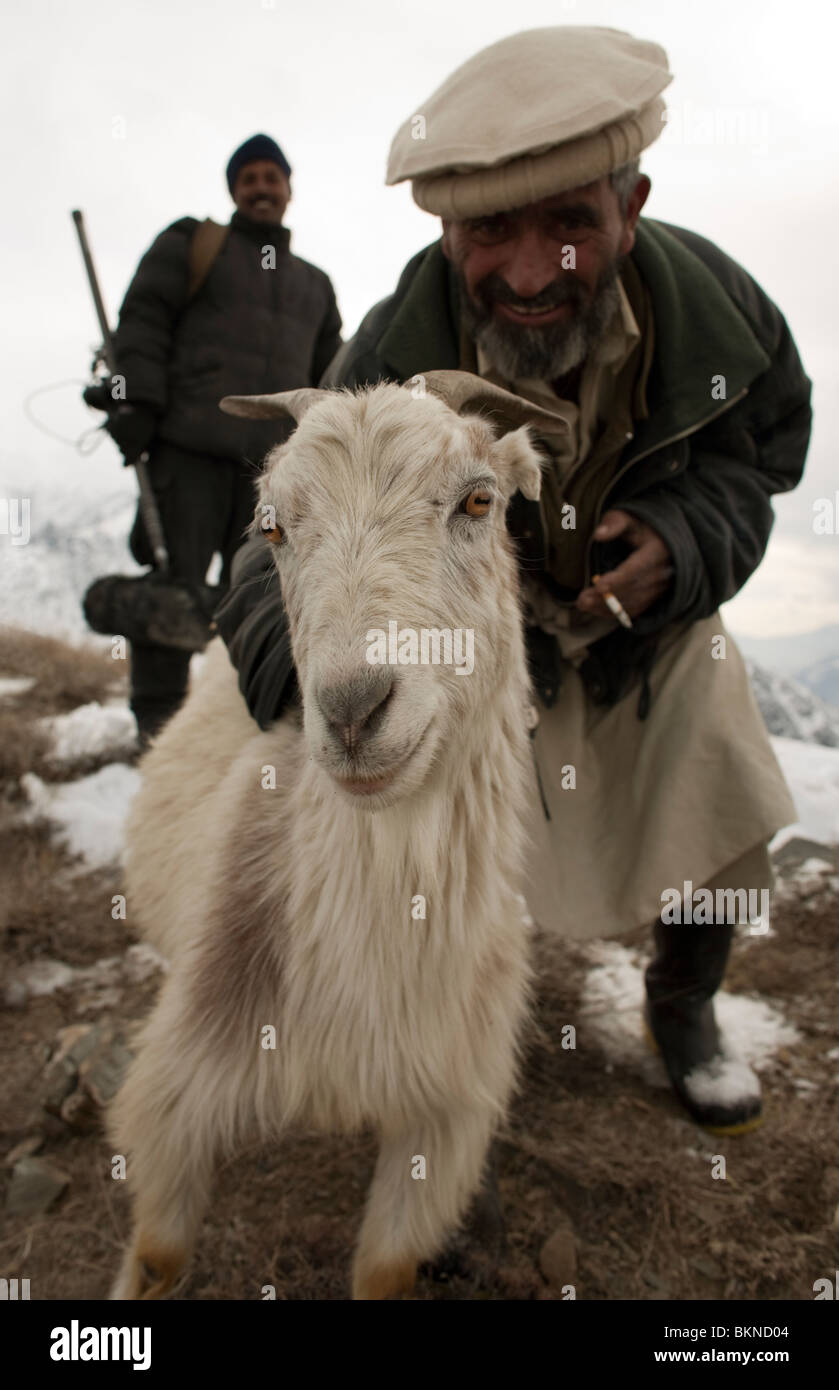 goat-herd-and-goat-in-the-mountains-of-chitral-northern-pakistan-BKND04.jpg