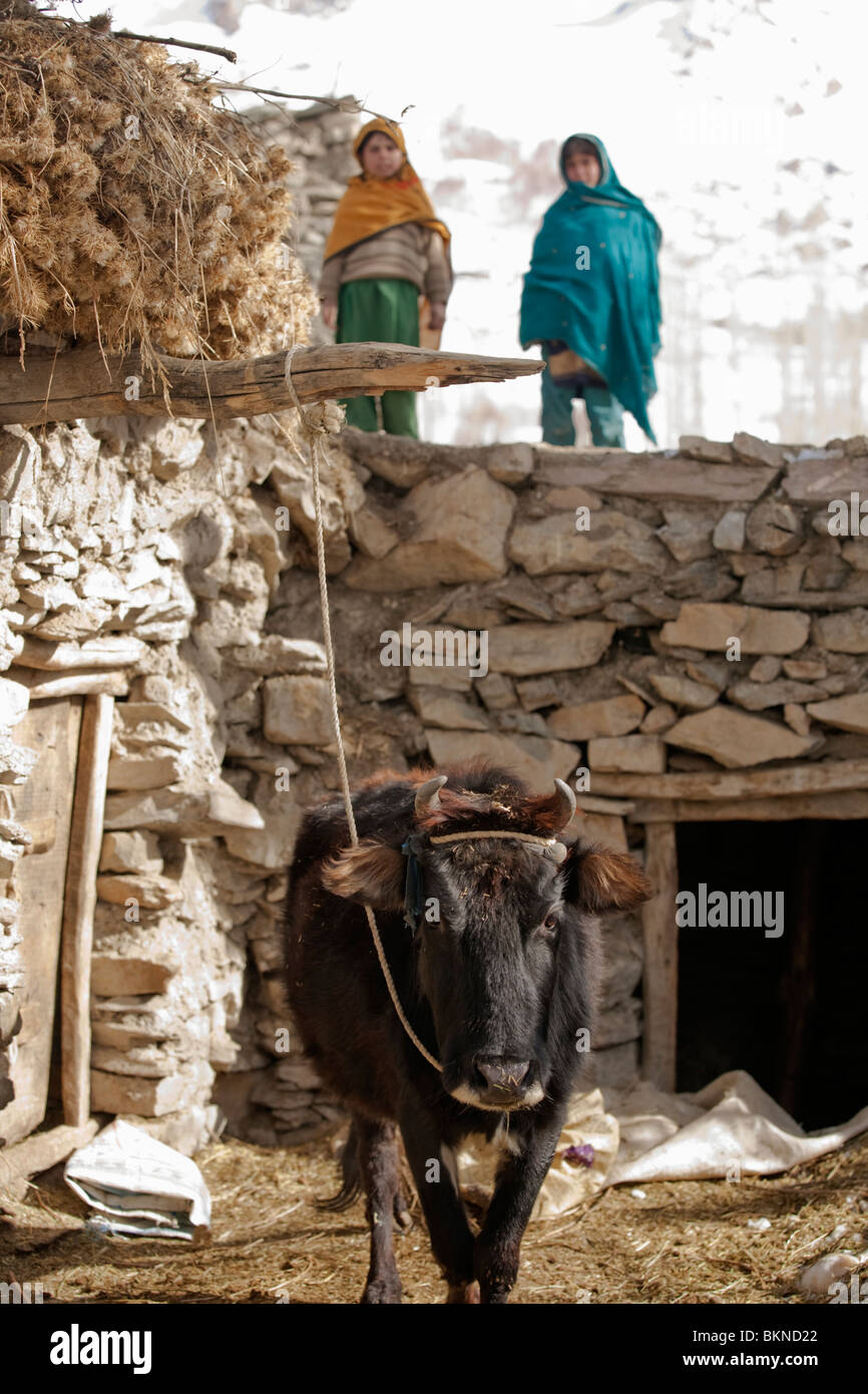 Village life in Chitral district Northern Pakistan Stock Photo