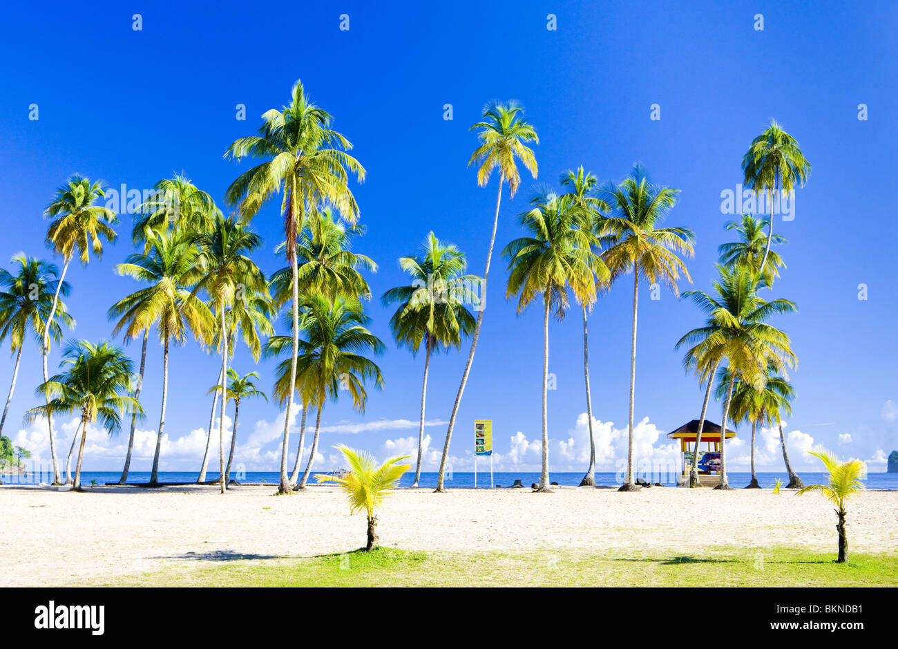 Maracas Bay; Trinidad Stock Photo Alamy