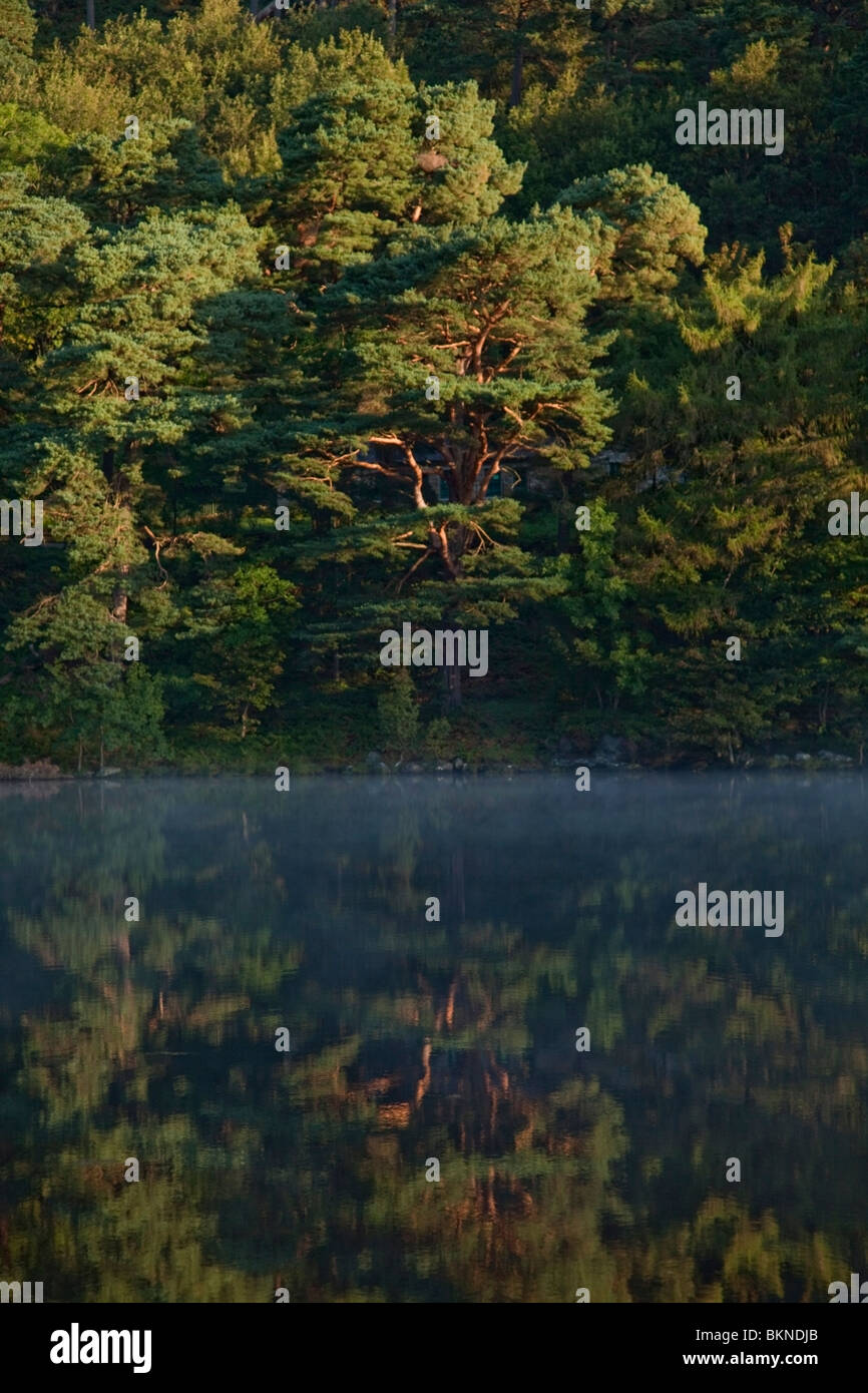 Trees Reflected In The Water Stock Photo - Alamy