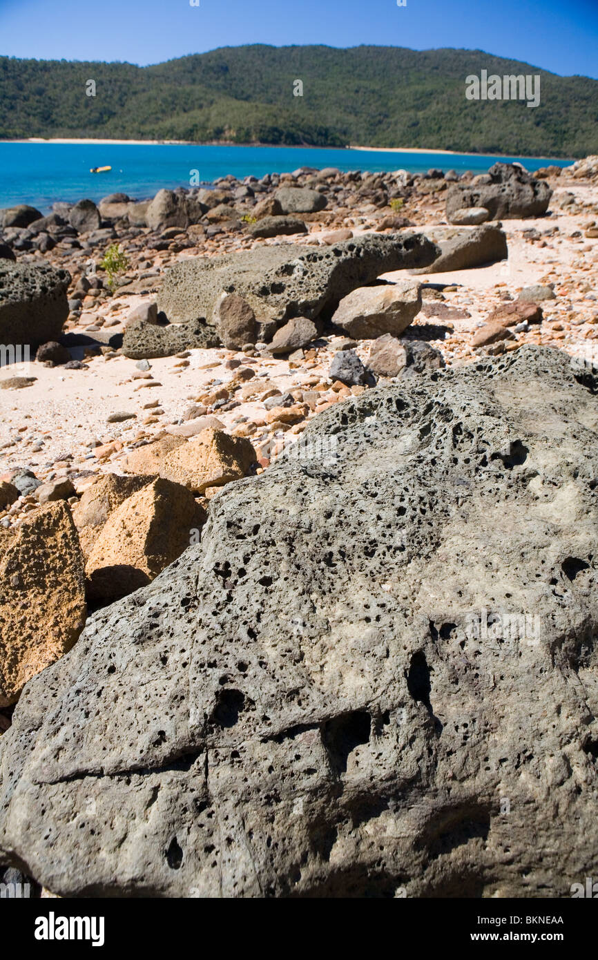 Basalt boulder on Horseshoe Bay on Keswick Island in the Whitsunday Islands Stock Photo