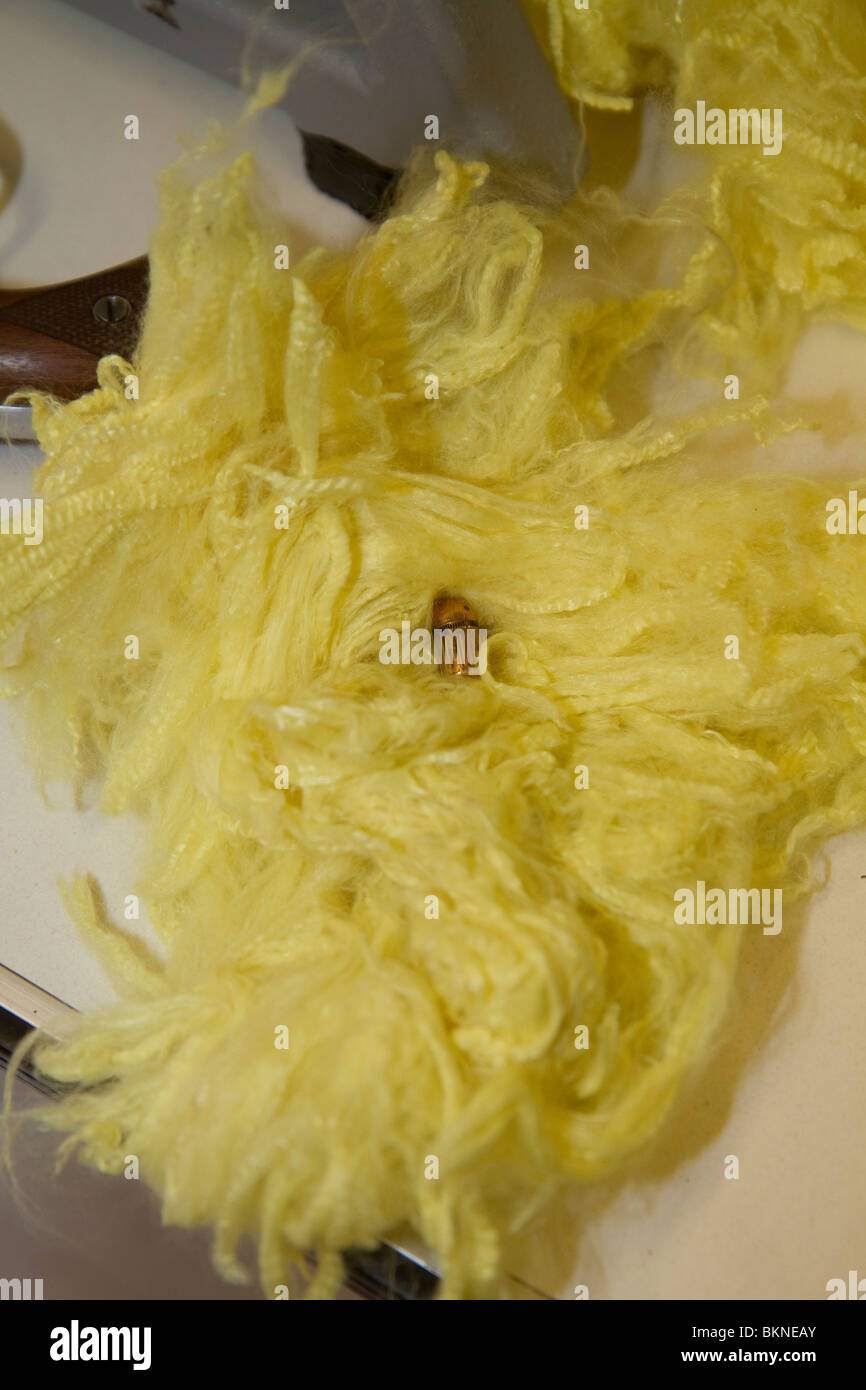 Bullet retrieved from kevlar fibers in a kevlar bullet trap. Nebraska