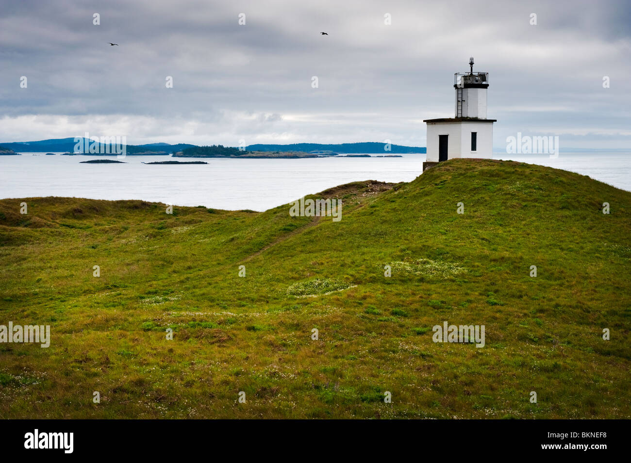 The southern tip of San Juan Island, Washington is known as Cattle Point. This modern lighthouse was built in 1935. Stock Photo