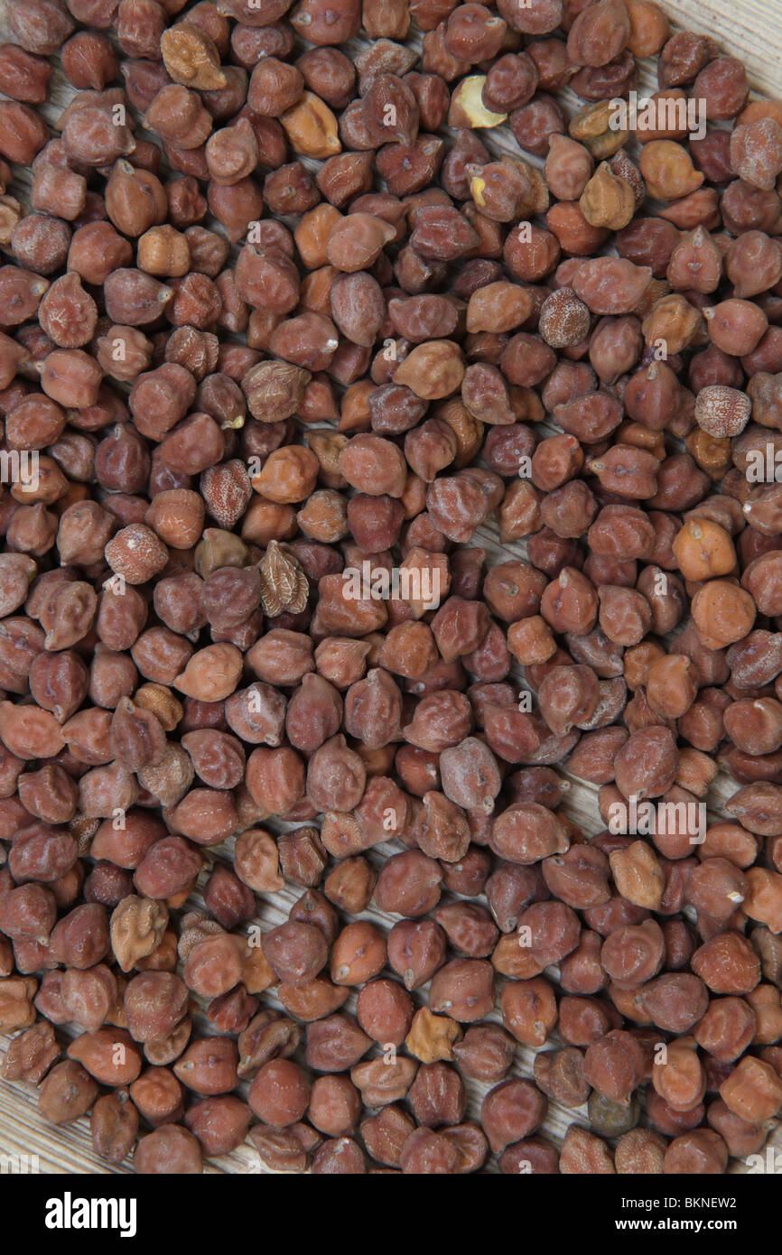 black chickpeas Stock Photo