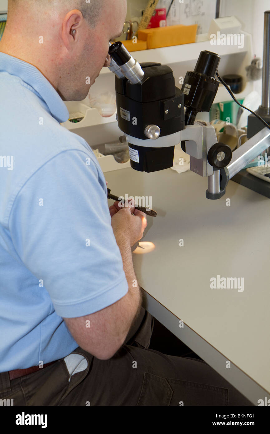 Forensics expert in ballistic lab using microscope to study and compare