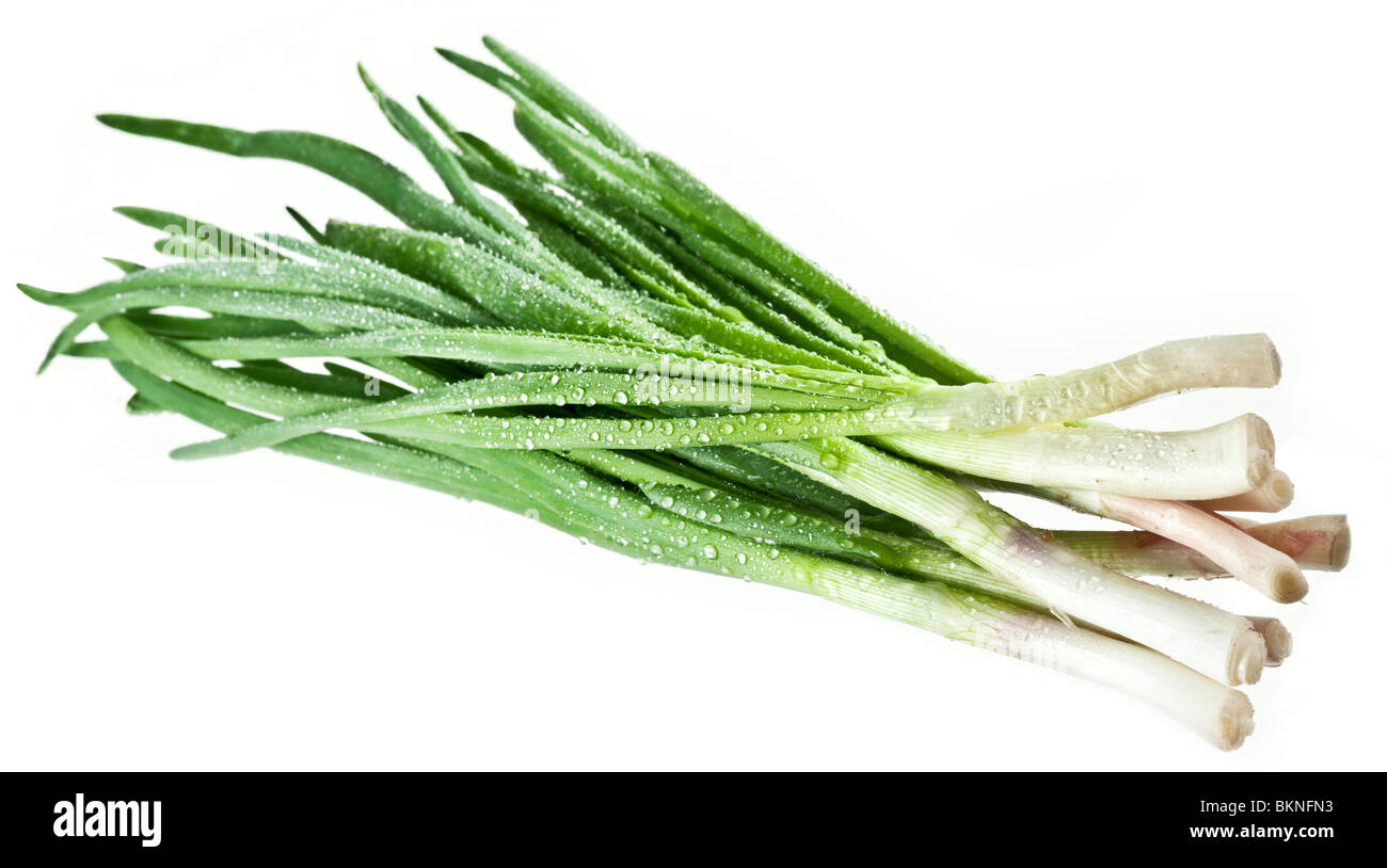 Fresh bunch green onions Cut Out Stock Images & Pictures - Alamy