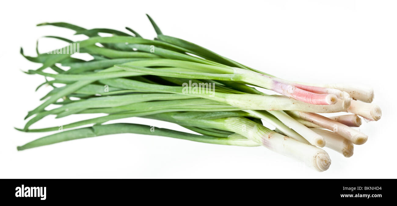 Green onions bunch on a white background Stock Photo - Alamy