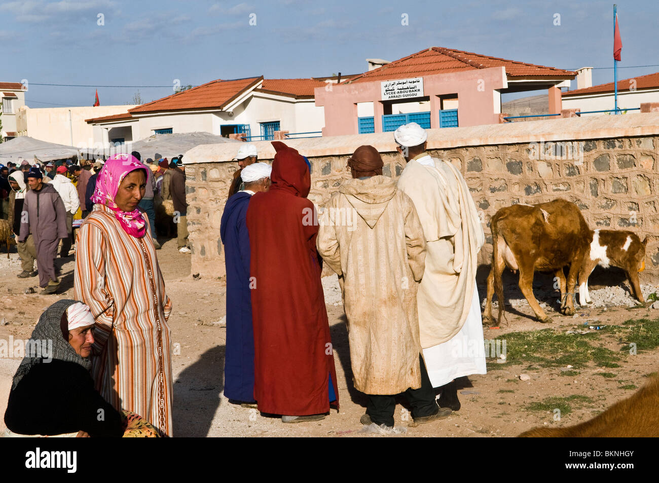 A Berber animal market in the middle Atlas region of Morocco. Stock Photo