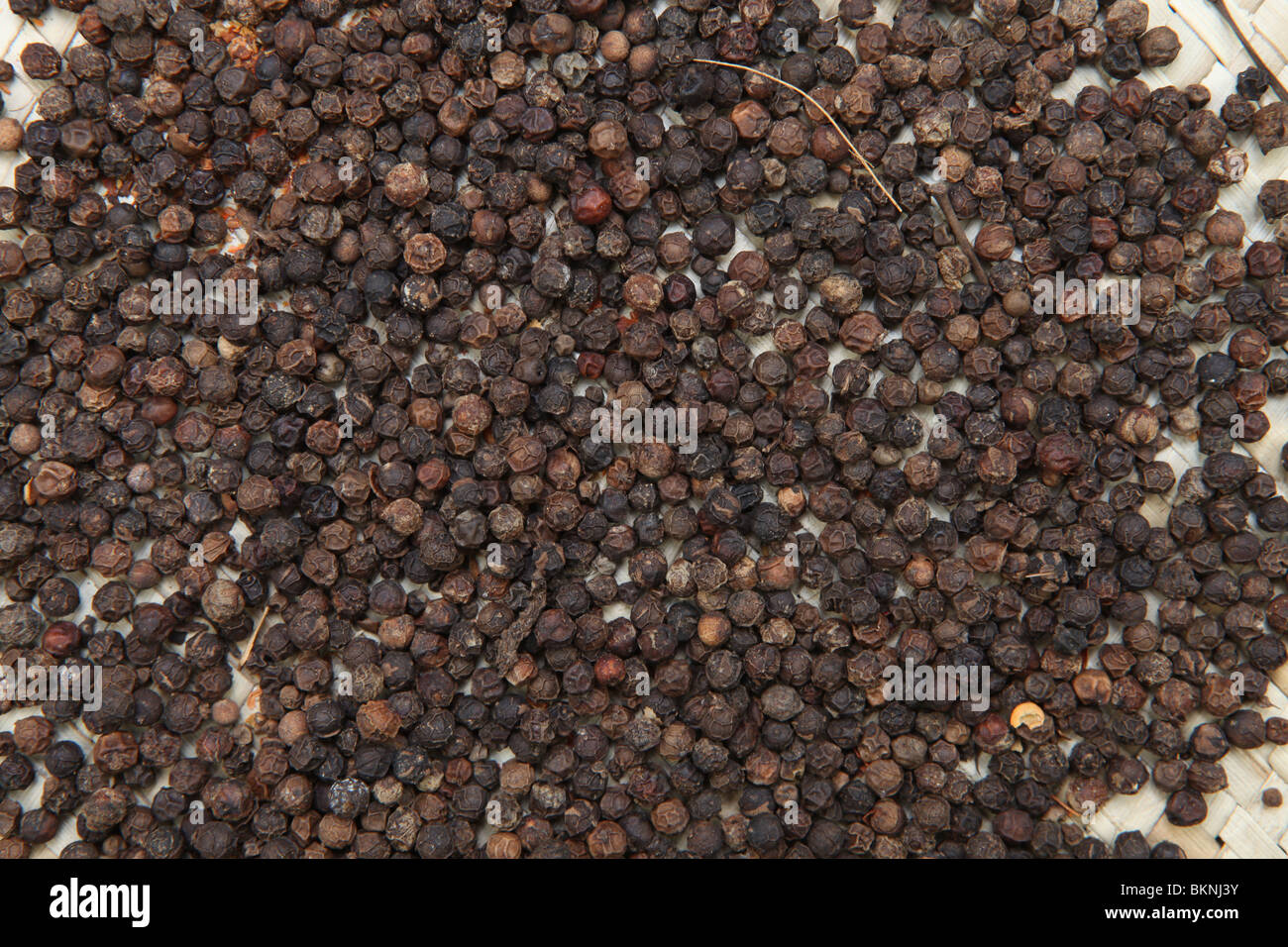 black pepper from kerala,used extensively as a food ingredient and in