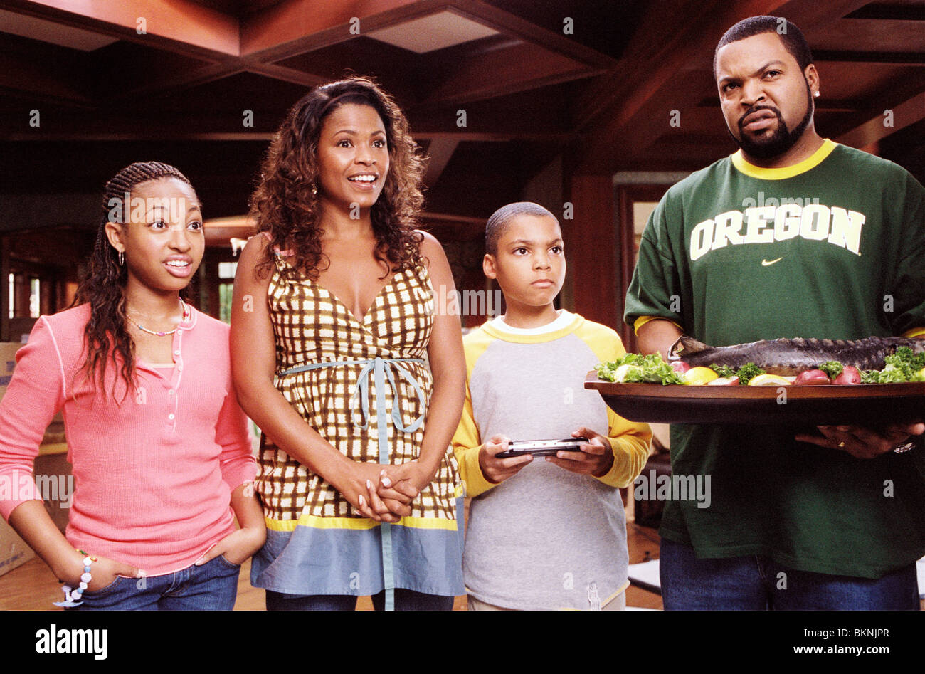 Are we done yet 2007 aleisha allen nia long philip daniel bolden
