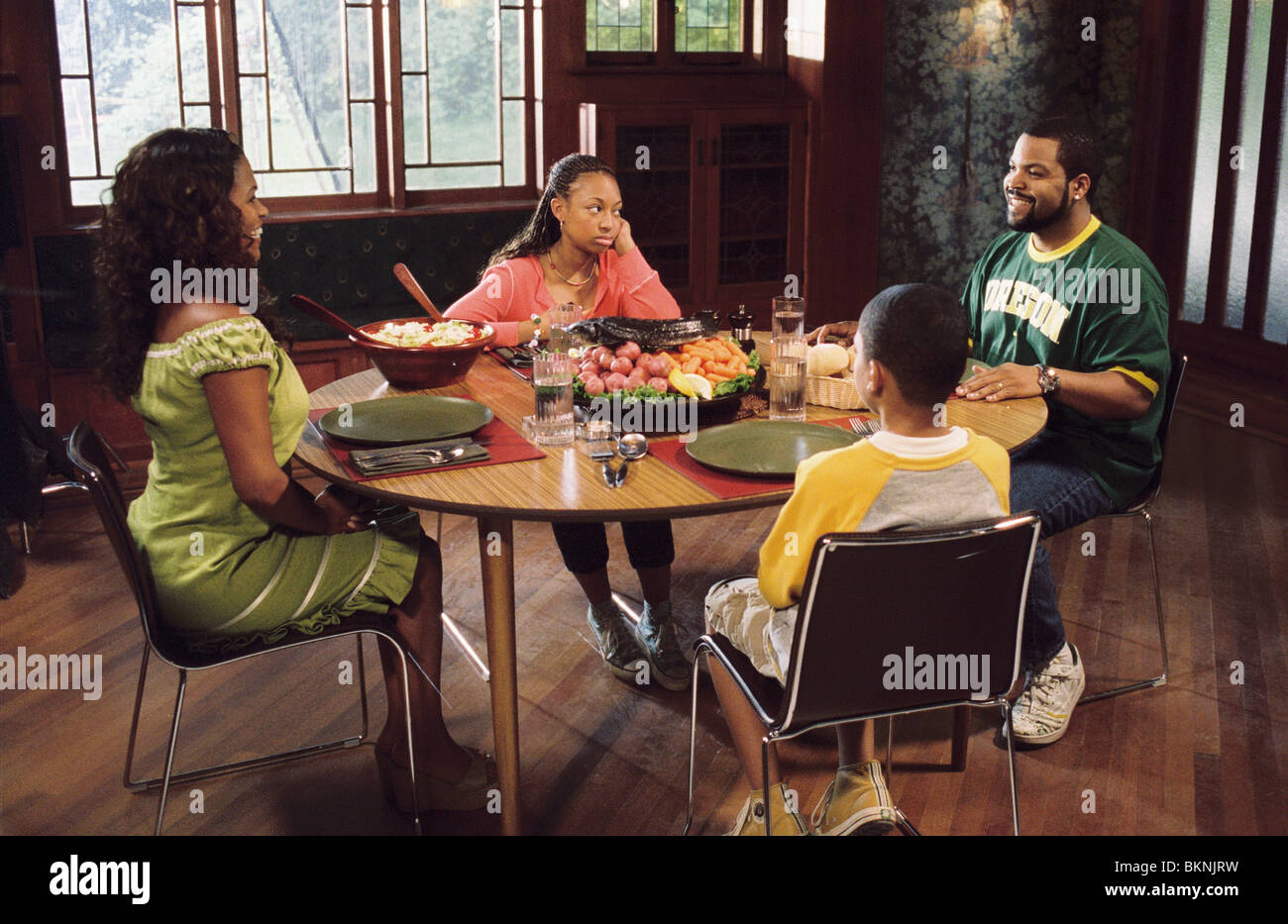 ARE WE DONE YET 2007 NIA LONG ALEISHA ALLEN ICE CUBE PHILIP Are we done yet 2007 nia long aleisha allen ice cube philip