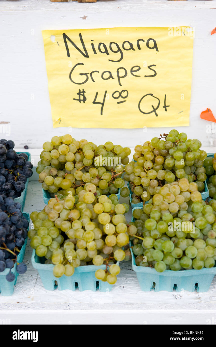 Grapes for sale at Roadside Stand in Finger Lakes Region New York Stock