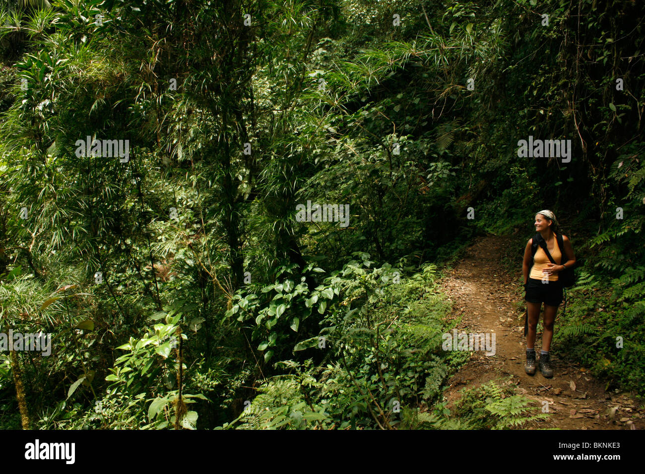 Touriste in Parque Nacional Chirripo, nabij San Gerardo de Rivas, Costa Rica. Chirripo is met 3819 m de hoogste berg van Costa Rica en ligt in de Cordillera Talamanca; Tourist hiking in Chirripo National Park near San Gerardo de Rivas, Costa Rica. Mt. Chi Stock Photo