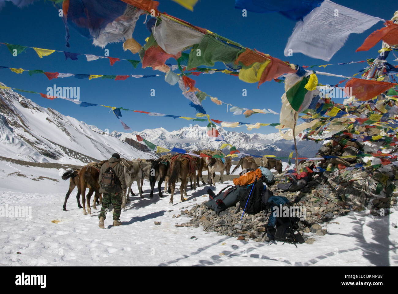 Buddhist circuit train hi-res stock photography and images - Alamy