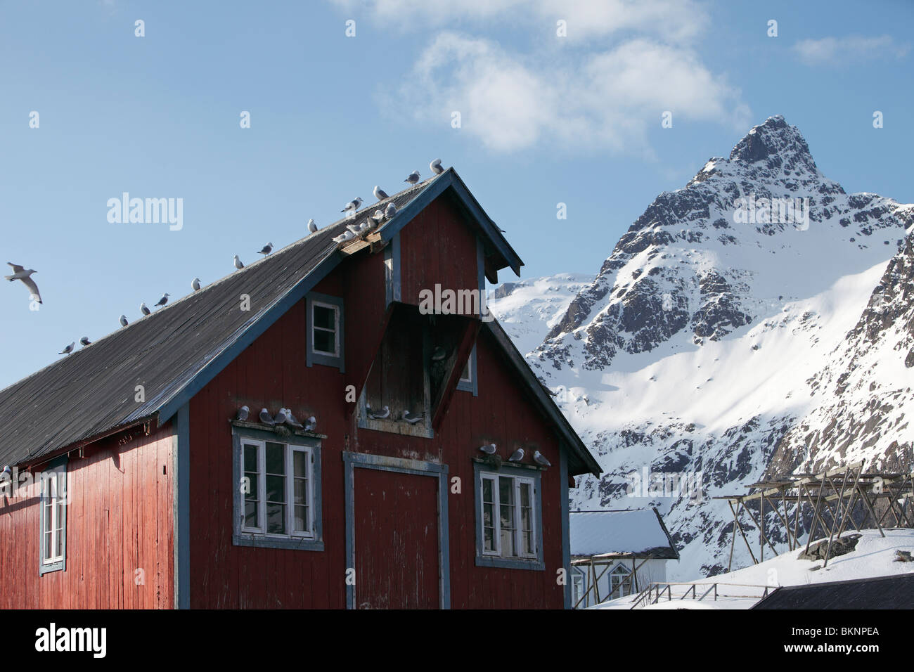 Fisherman's boathouse in Å on Moskenesøy, one of the Lofoten Islands in Norway Stock Photo