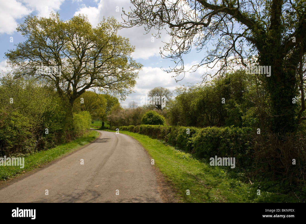 A country lane in the Cotswolds leading to Tackley, in Oxfordshire Stock Photo