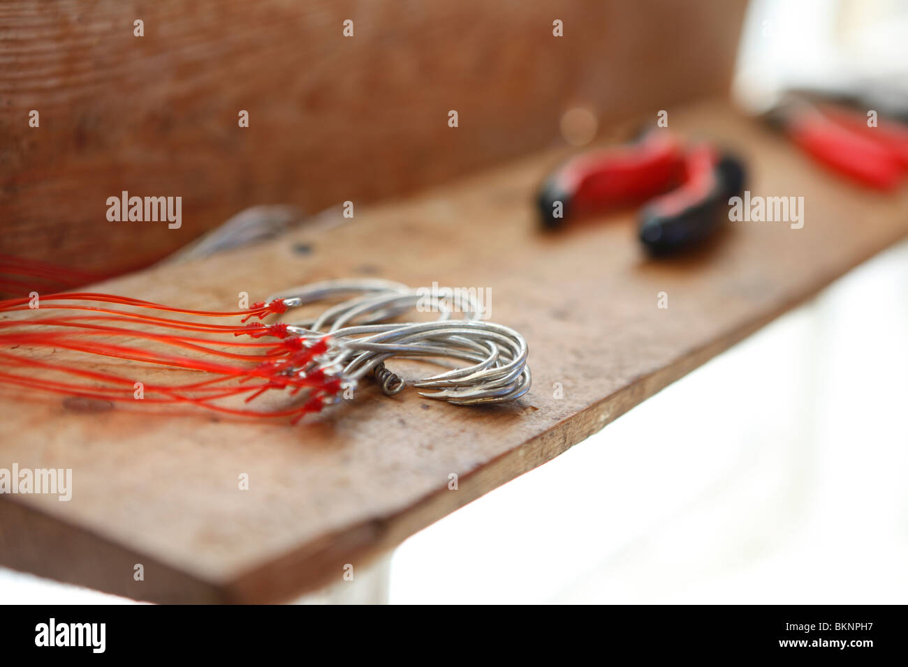 Fishing bait container hi-res stock photography and images - Alamy