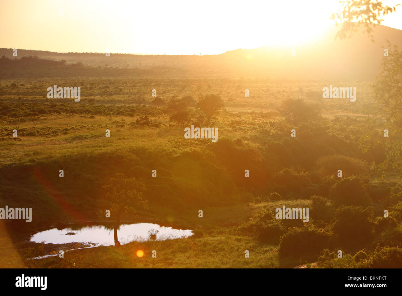 Kenya, Africa, Tsavo West National Park, Ngulia Bandas lodge landscape sunrise Stock Photo