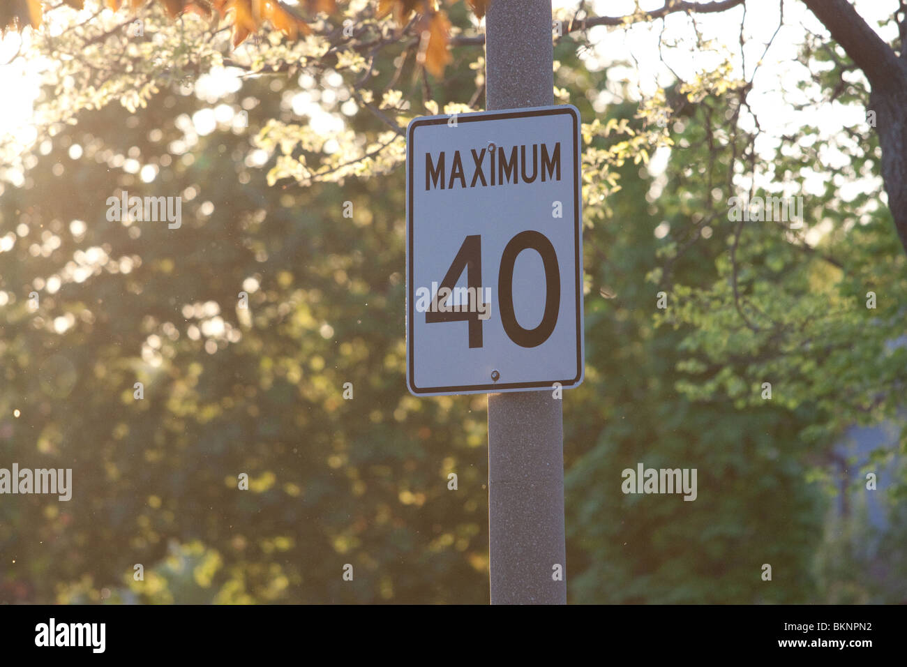 sign traffic road street signs speed limit sunset 40 Stock Photo