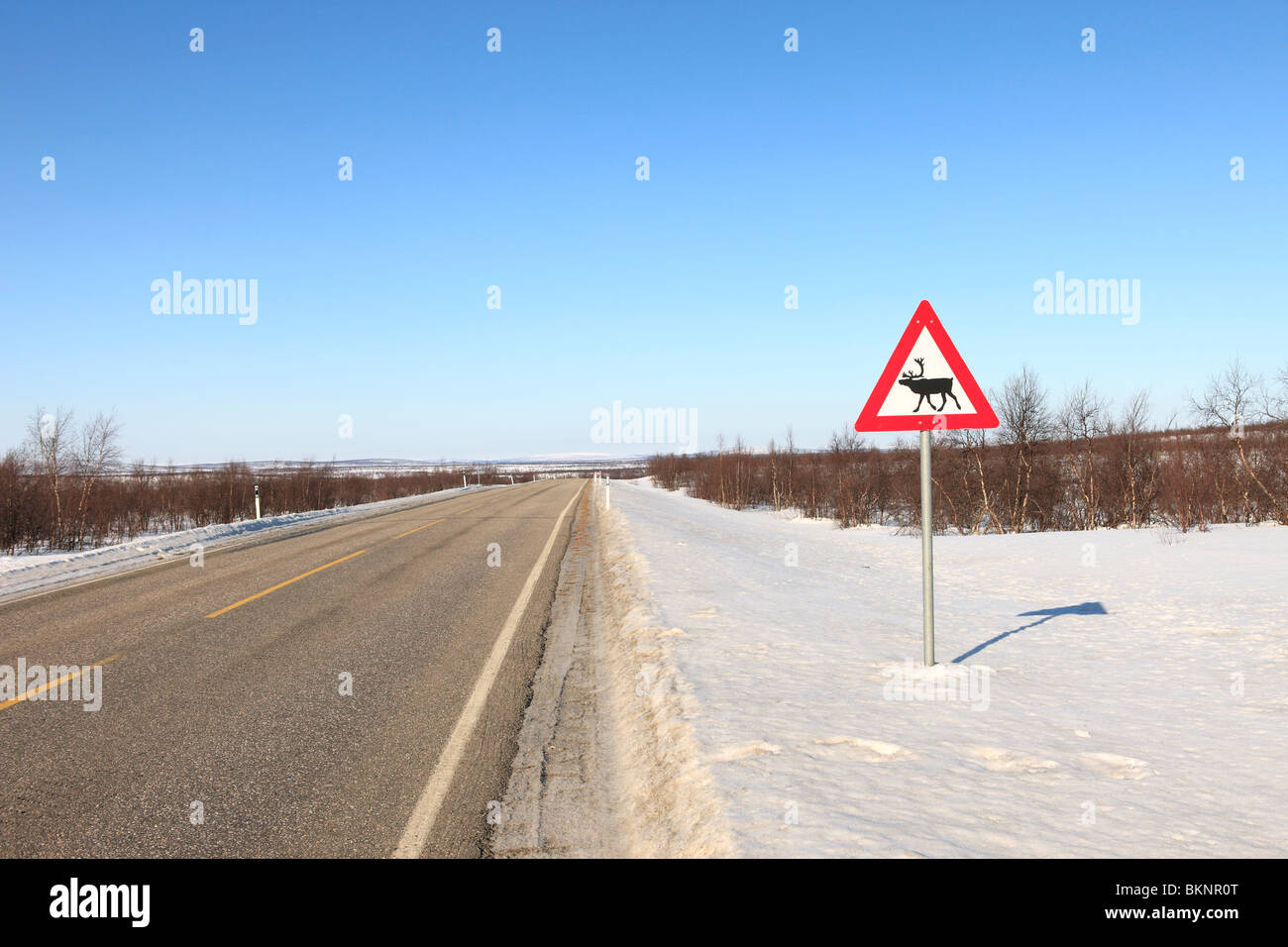 Road sign warning of reindeer on the side of the road near Kautokeino in Finnmarksvidda in arctic Norway Stock Photo
