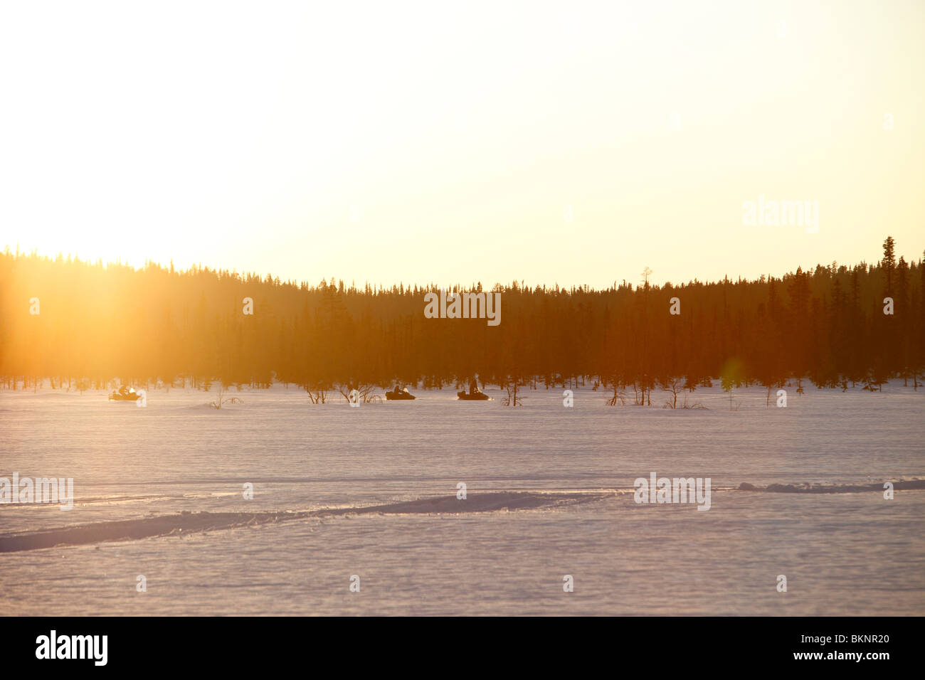 The annual Sami springtime reindeer migration from Stubba nr Gällivare in Sweden through their ancestral lands in Lapland Stock Photo