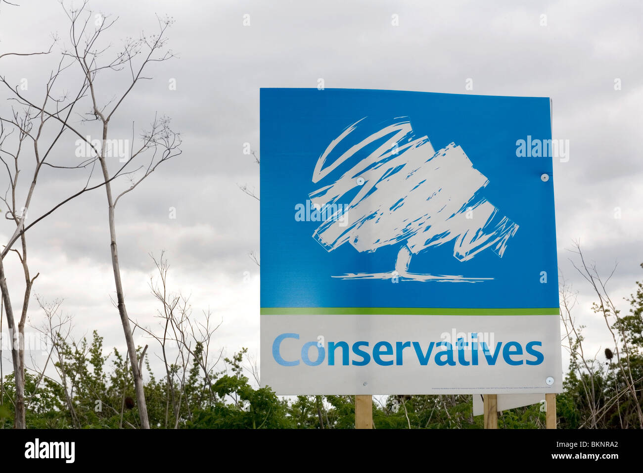 Conservatives poster in the Essex countryside during the 2010 General Election campaign Stock Photo