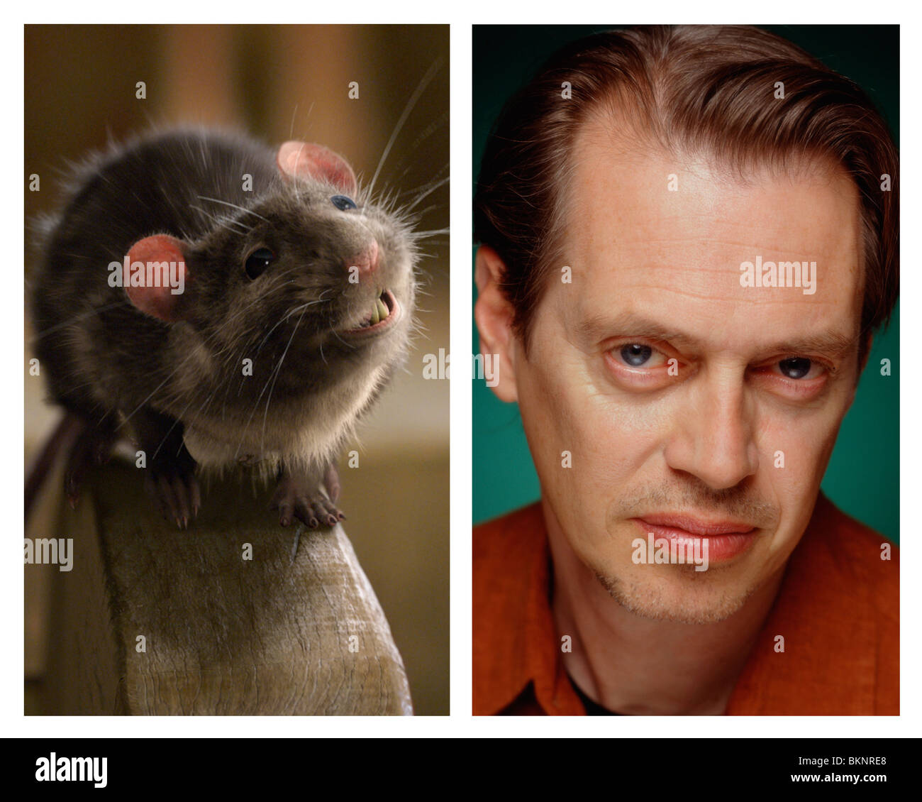 Steve buscemi Cut Out Stock Images Pictures Alamy