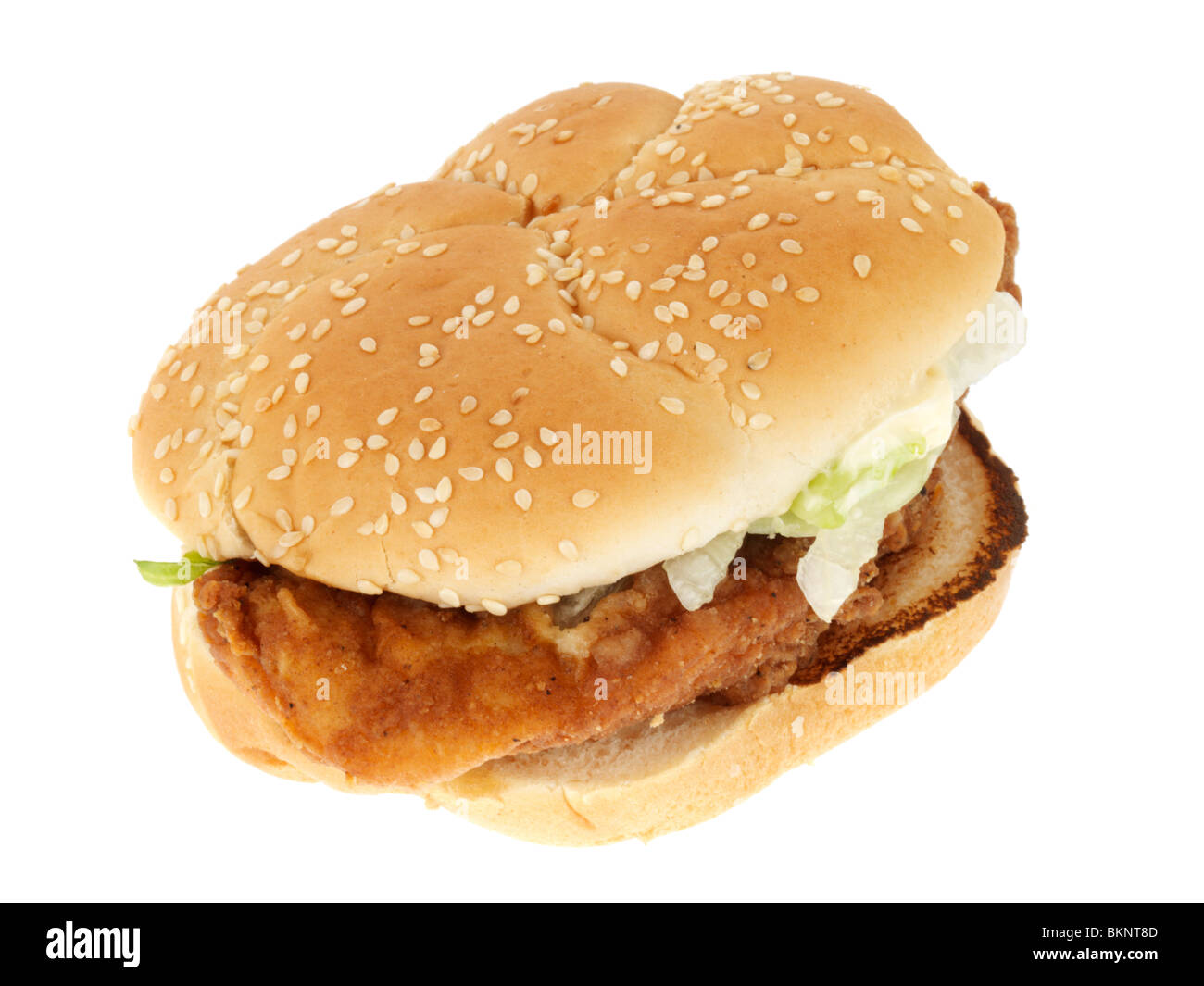 Chicken Sandwich Stock Photo