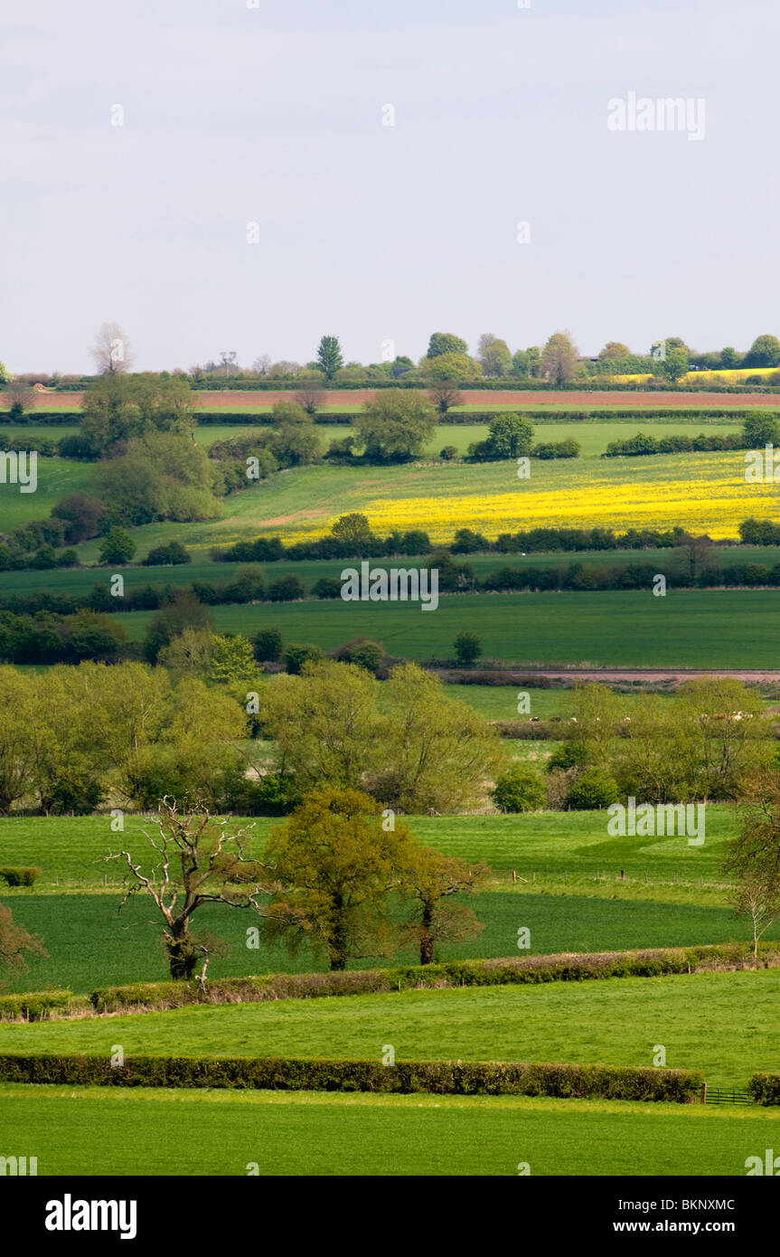Fields in the cotswolds, Looking across the Cherwell valley in Spring. Stock Photo