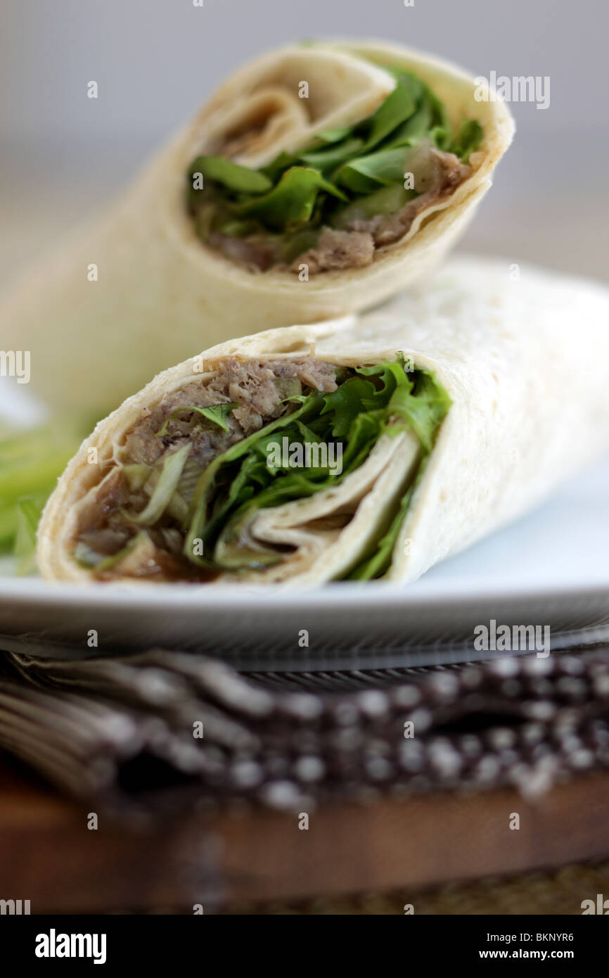 Duck and Hoisin Sauce Wrap Stock Photo Alamy