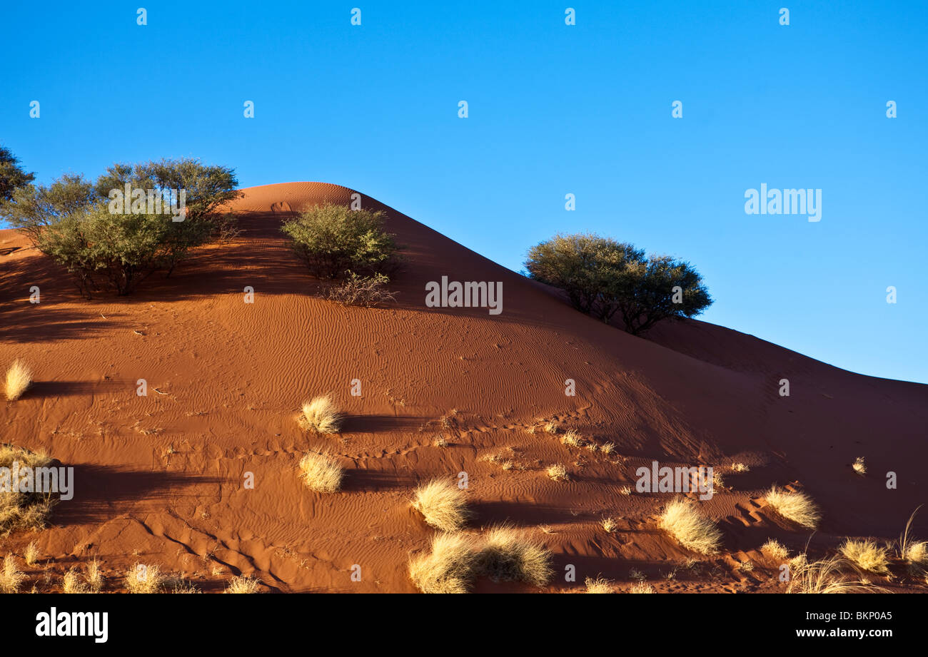 Anamibia Africa landscapes hi-res stock photography and images - Alamy