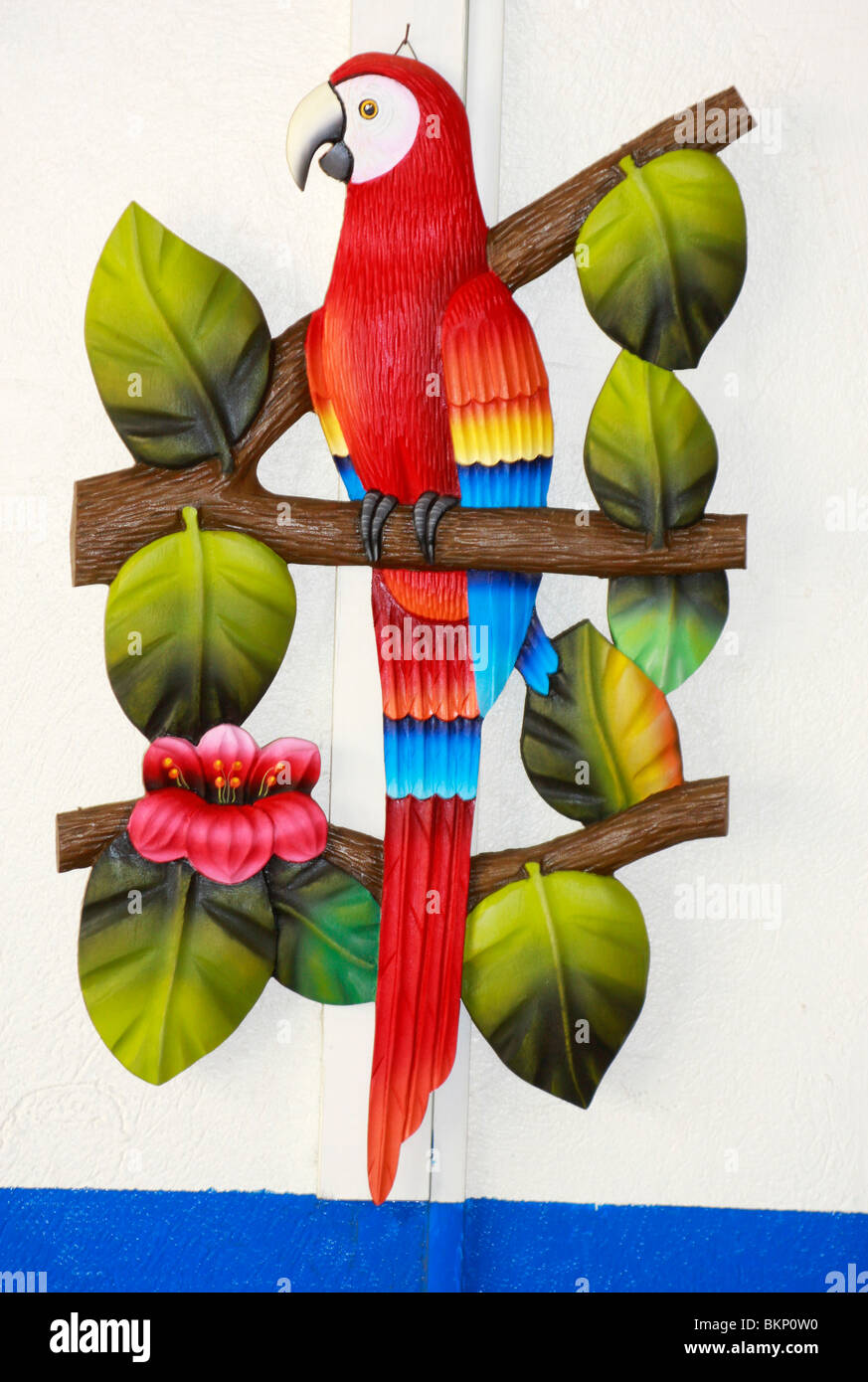 bright ,colorful painting of local birds,parrots, in typical Costa ...