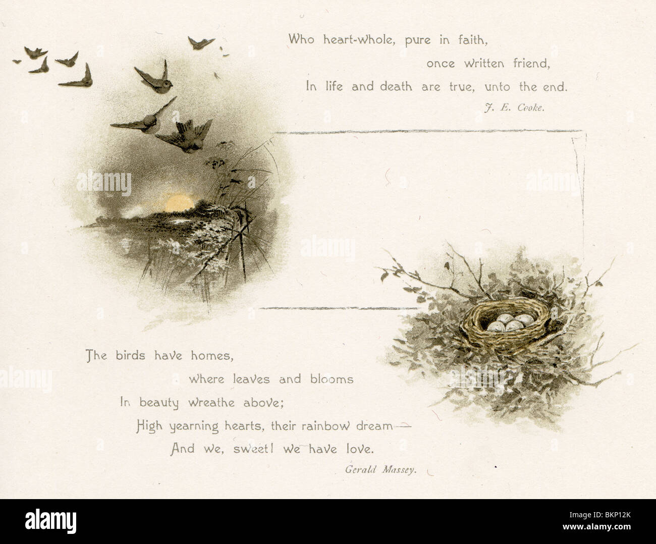 Bird Leaving Nest Quotes