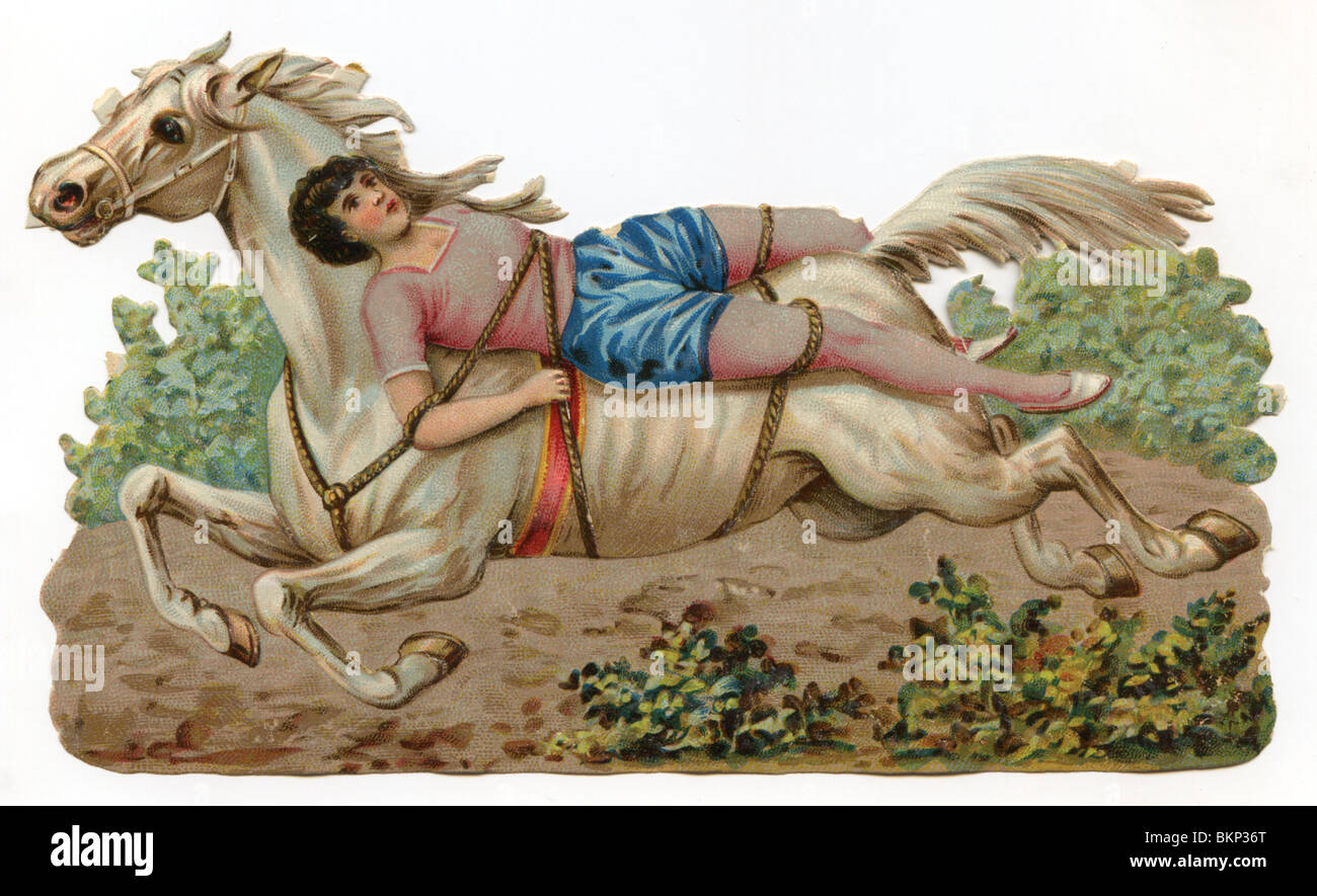 White Horse with male Strapped on Stock Photo
