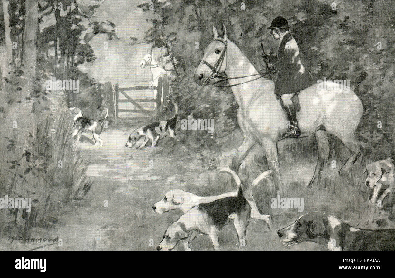 Fox Hunting Stock Photo