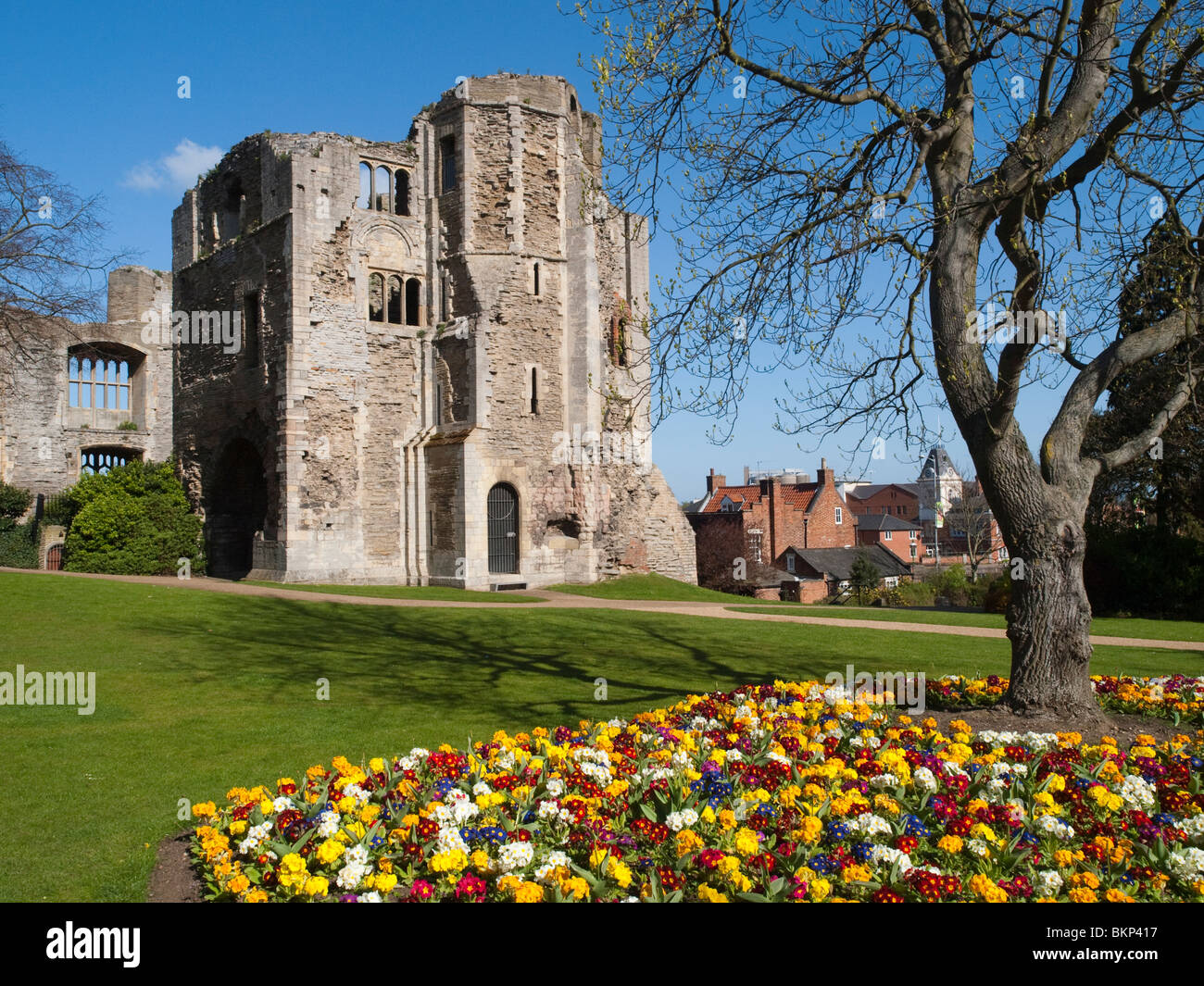Pretty spring flowers in the gardens of Newark Castle, Nottinghamshire England UK Stock Photo