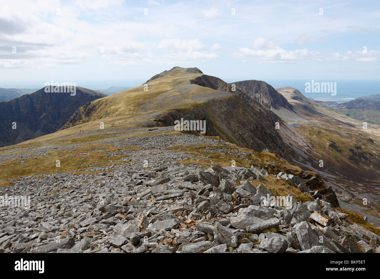 The view to the summit of Cadair Idris, Penygadair, from the neighbouring summit of Mynydd Moel Stock Photo