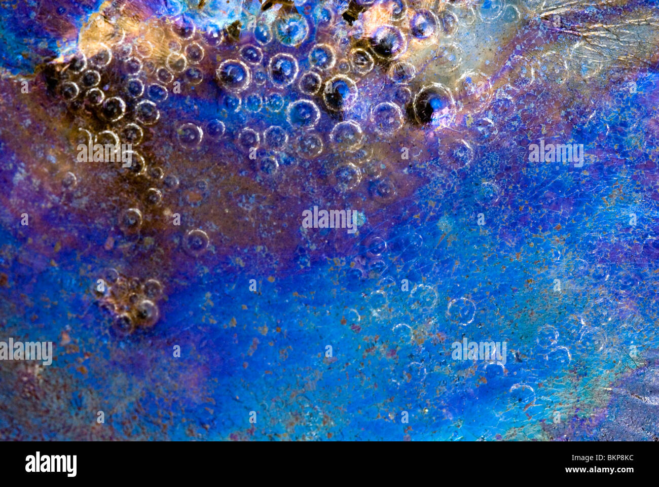 Biofilm bacteria hi-res stock photography and images - Alamy