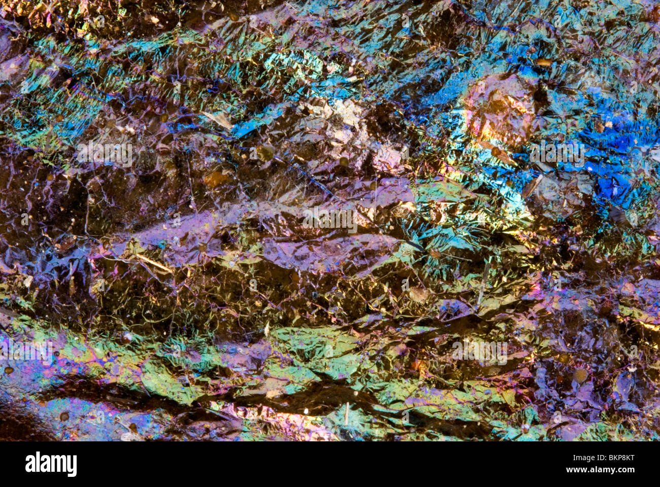 Bacterie hi-res stock photography and images - Alamy