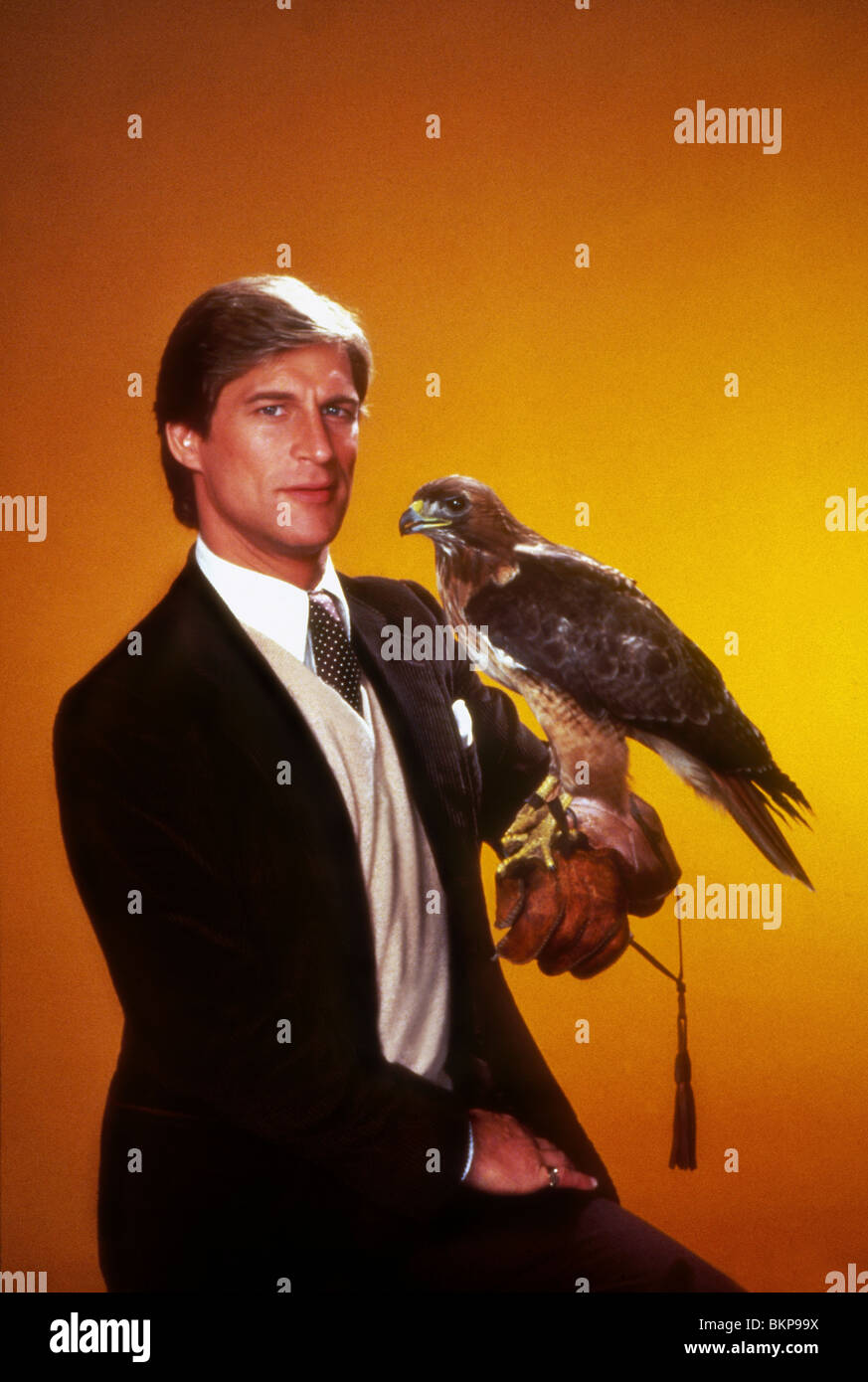 MANIMAL (TV) (1983) SIMON MACCORKINDALE MNML 001 Stock Photo