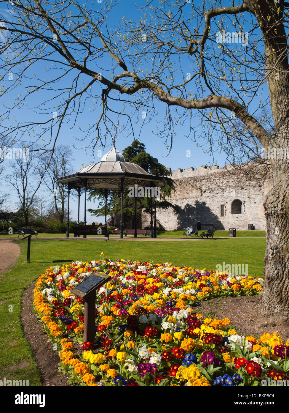 Pretty spring flowers in the Newark Castle Gardens, Nottinghamshire England UK Stock Photo