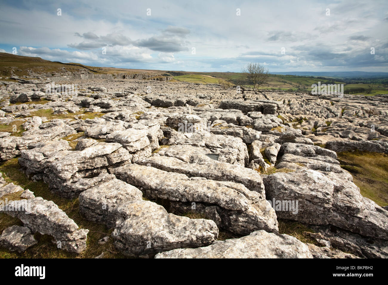 Limestone pavement at the top of Malham Cove in the Yorkshire Dales, Uk