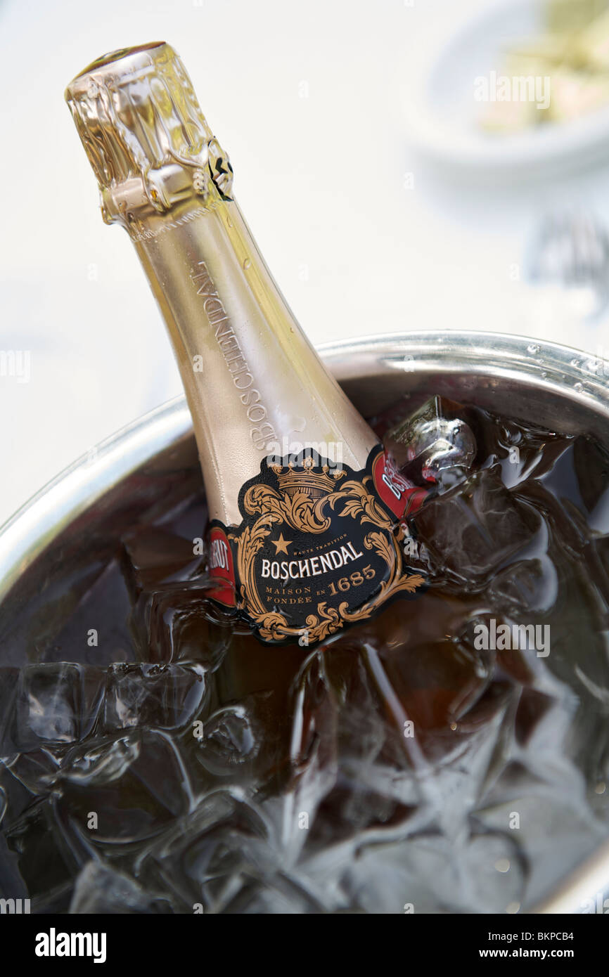Bottle of Boschendal sparkling wine in an ice bucket. Stock Photo