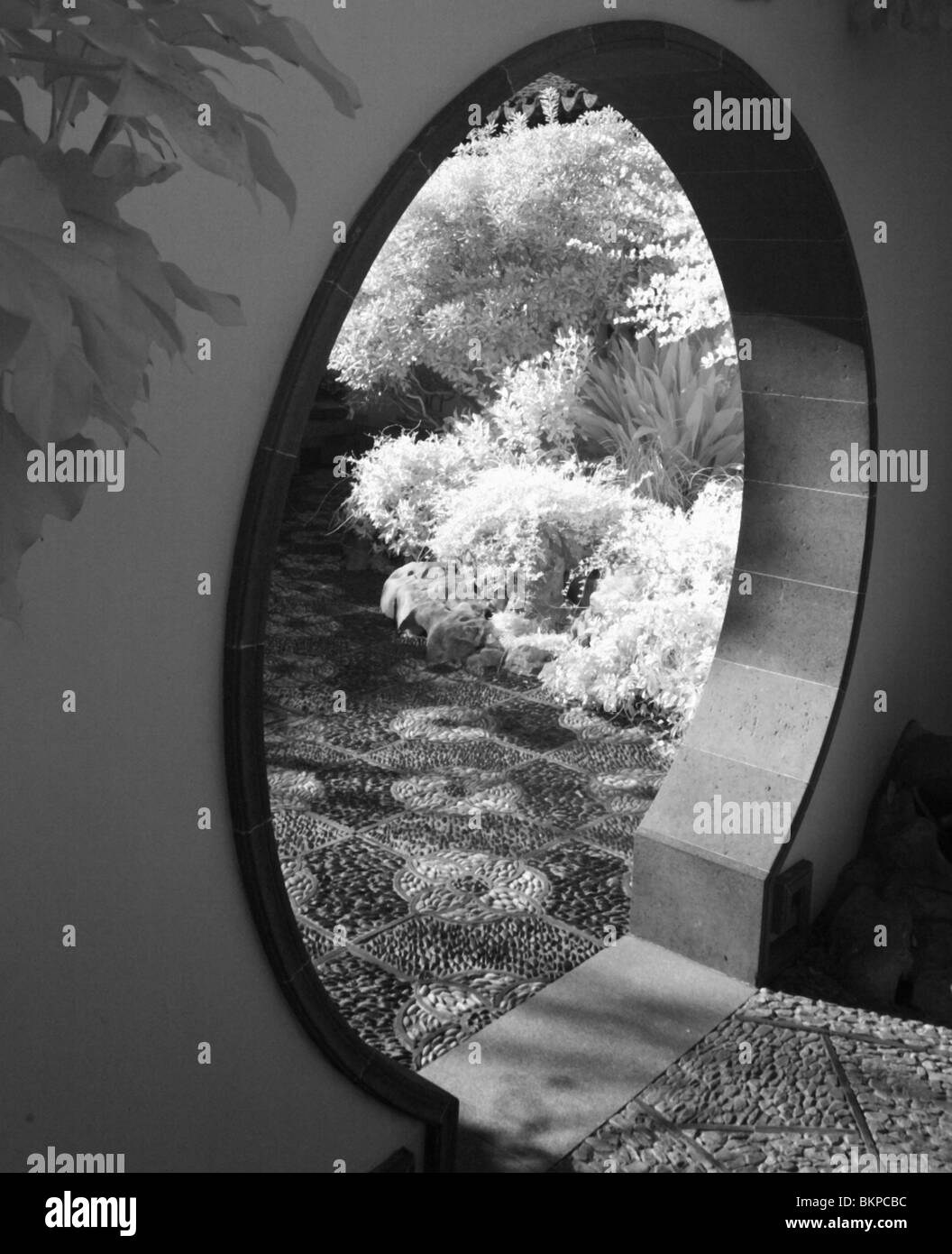 Portland Oregon Chinese Garden, Black and White Infrared Stock Photo