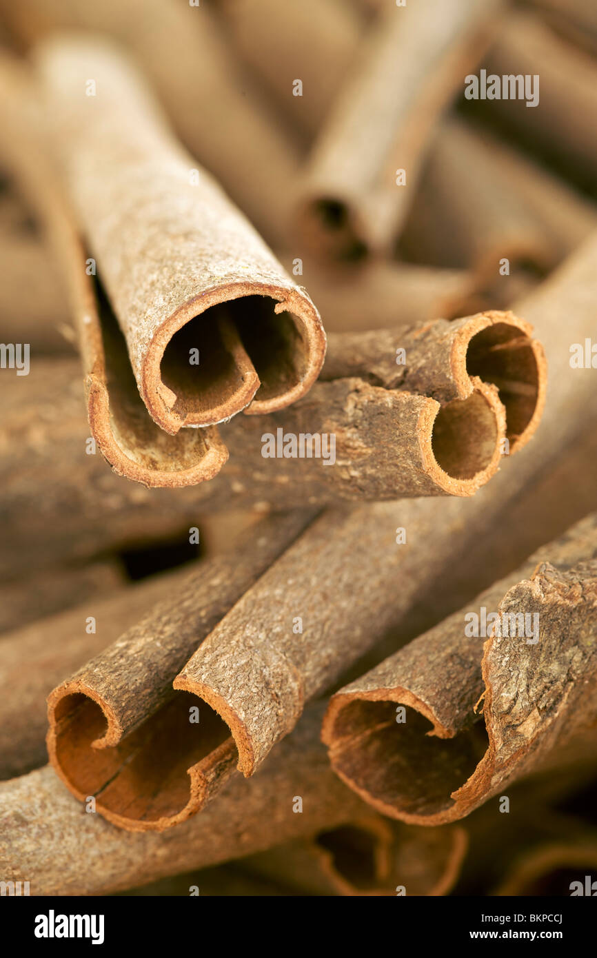 Close-up of cinnamon bark. Stock Photo