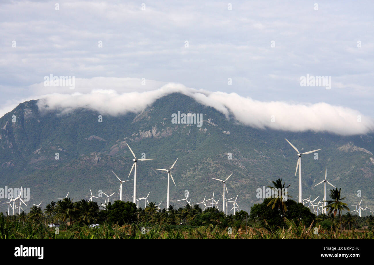 wind farm in the rural area of thirunelveli,tamilnadu,india,asia Stock Photo